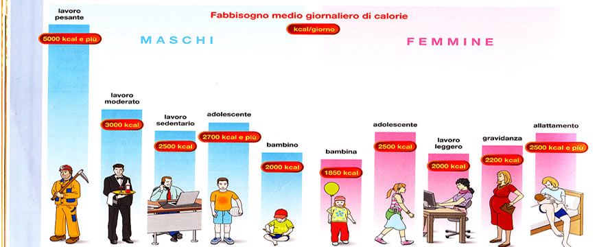 Fabbisogno Calorico Giornaliero Ragazzo 16 Anni