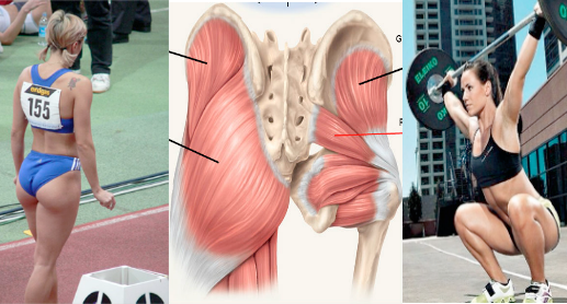 Allenamento glutei