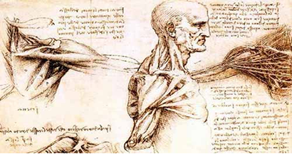 Lo stomaco e il dorso al primo termine di danni di gravidanza