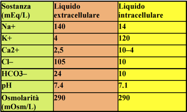Liquido extracellulare intracellulare
