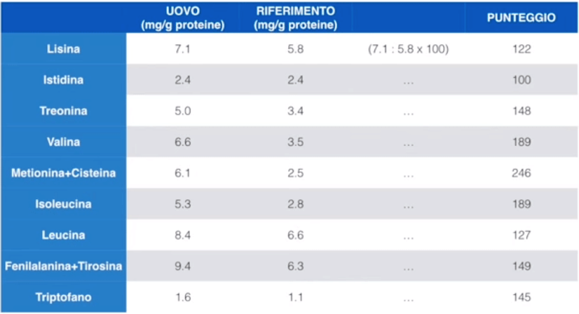 valore amonoacidico uova