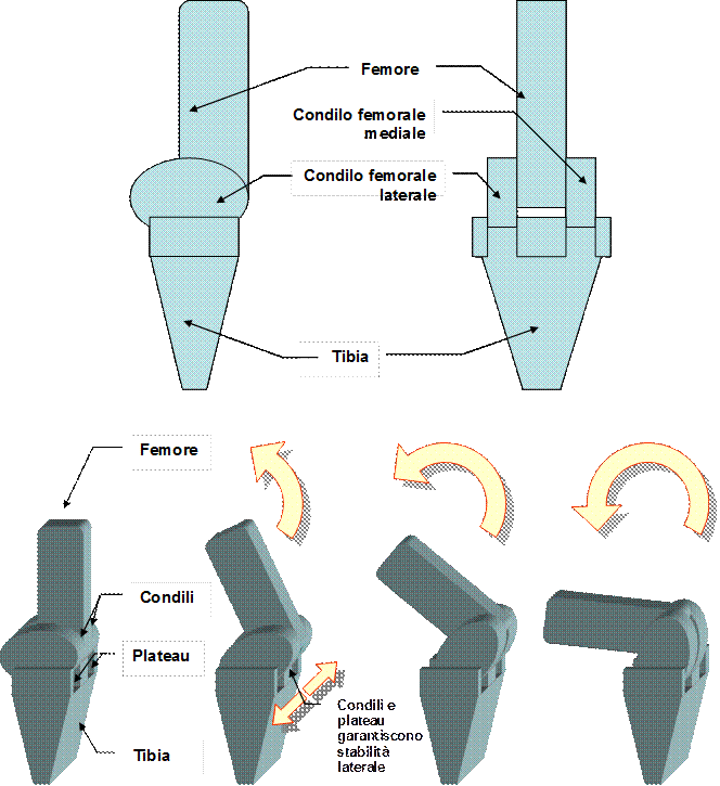 Movimenti ginocchio