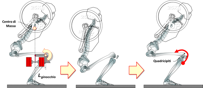 Squat e ginocchio