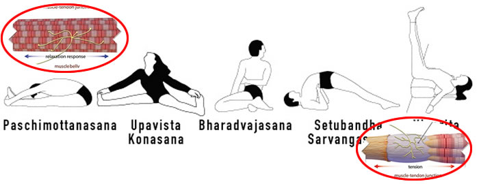 Punti fondamentali nello stretching