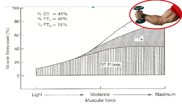 Legge di henneman