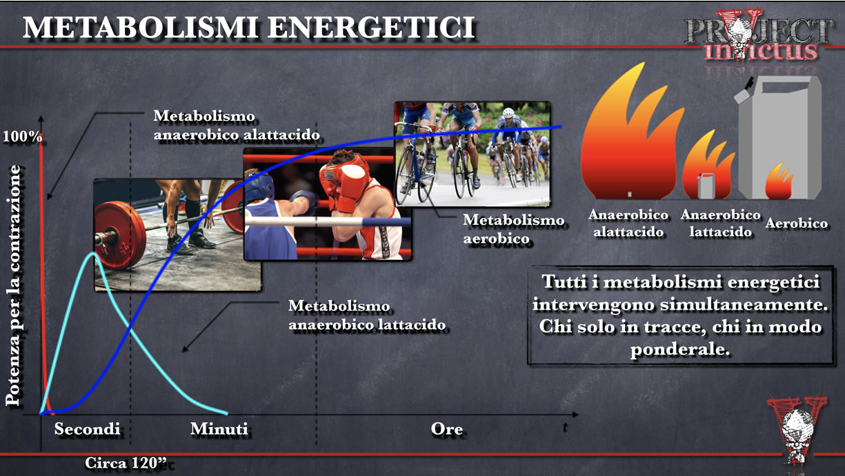 metabolismi energetici