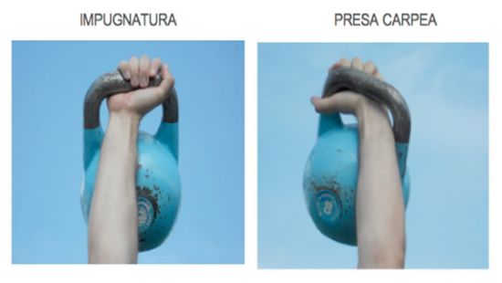 La presa carpea