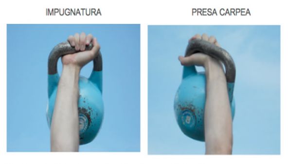 La presa carpea