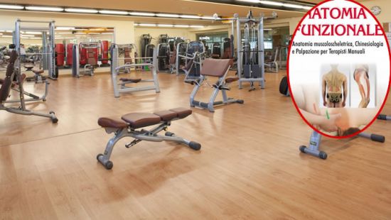 Anatomia funzionale: un imprescindibile alleato in palestra