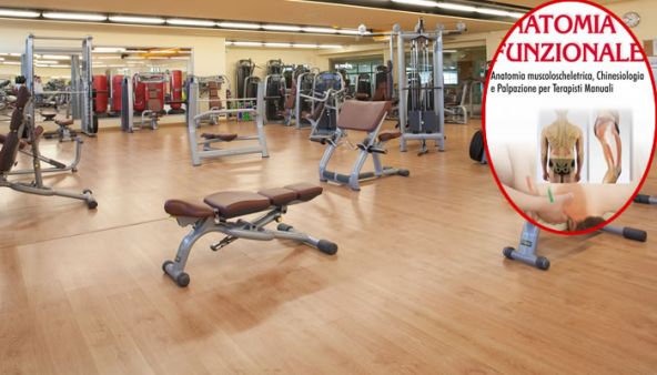 Anatomia funzionale: un imprescindibile alleato in palestra