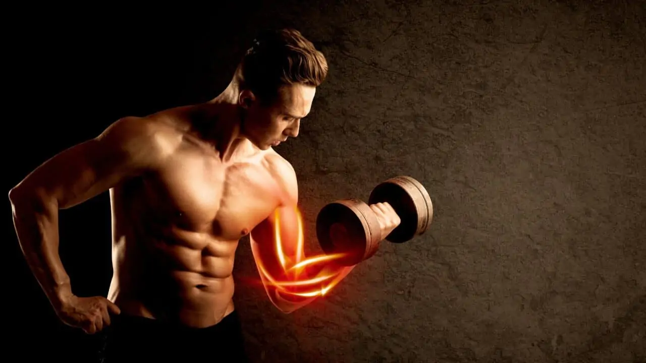 ipertrofia sarcoplasmatica e miofibrillare per il bodybuilding