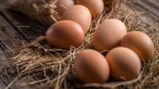 Le uova fanno male? No, impariamo a sceglierle e cucinarle