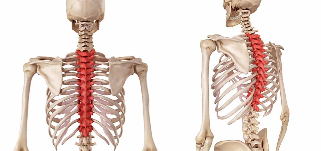 SPORTARC Cuscino Gel Raffrescante Per Auto – Protezione Colonna Vertebrale E Glutei, Traspirante, 47x47 Cm, 4 Stagioni, Colore Viola