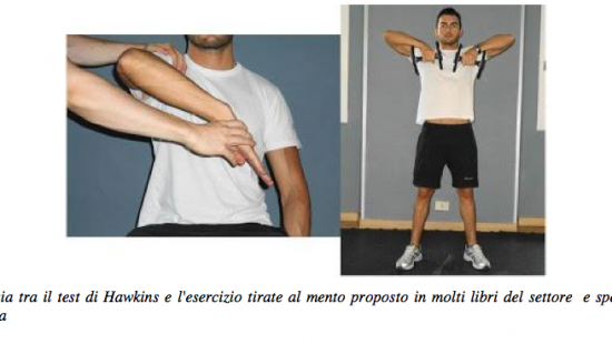 La spalla in palestra: analisi fisiologica e biomeccanica per un esercizio sicuro