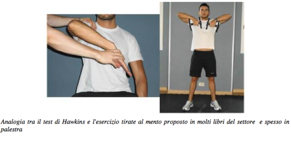 La spalla in palestra: analisi fisiologica e biomeccanica per un esercizio sicuro