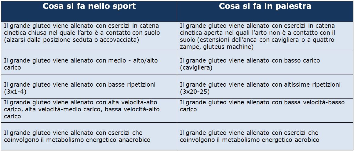 glutei in palestra