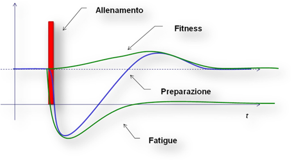 Dual Factor Theory