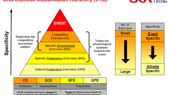 The Bordarchuk Principles e il Continuum Aspecifico -> Specifico