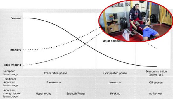 La programmazione dell’allenamento in palestra