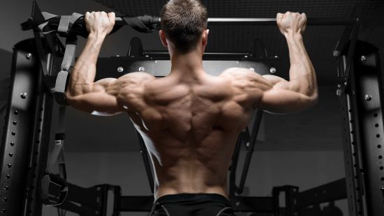 Quali muscoli sono coinvolti nelle trazioni alla sbarra