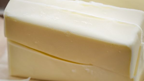L’organo adiposo