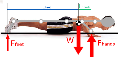 Piegamenti Sulle Braccia Validi O Da Scartare Project Invictus