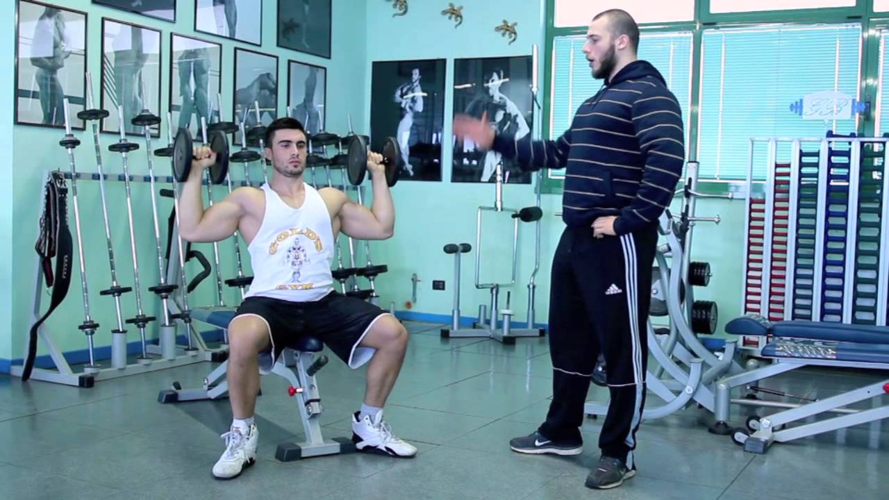 allenamento spalle con manubri
