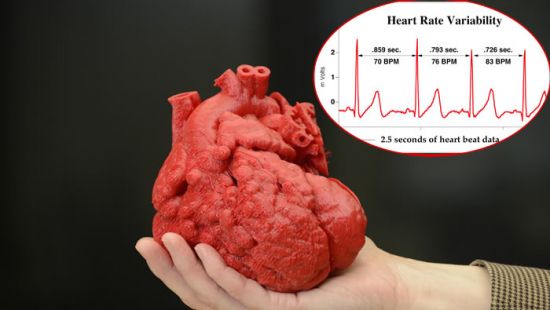 HRV Heart Rate Variability