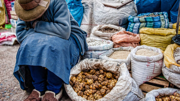 Cosa sono i tuberi: elenco e proprietà alimentari
