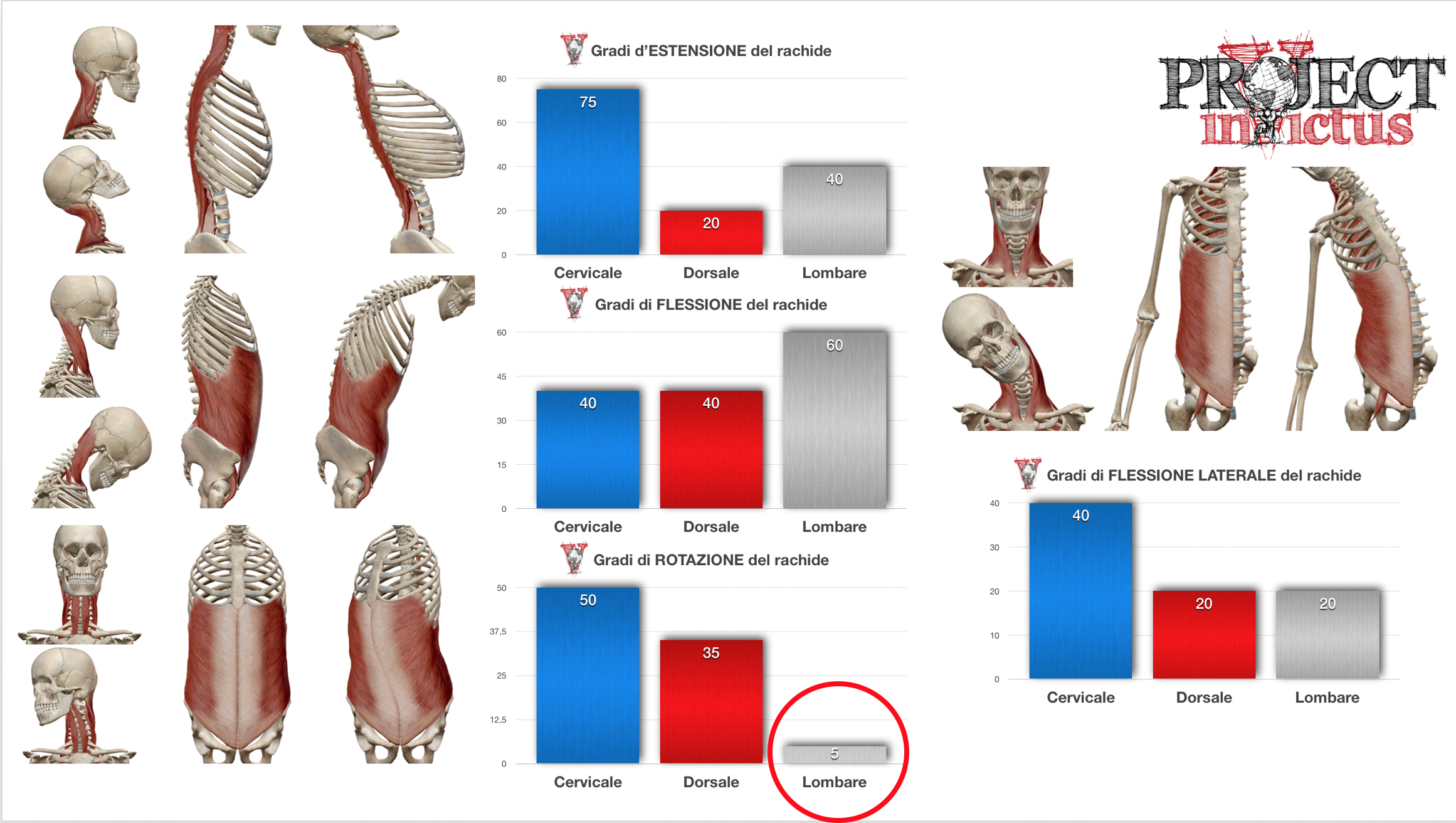Torsioni del busto pratiche e riflessioni in palestra e in casa