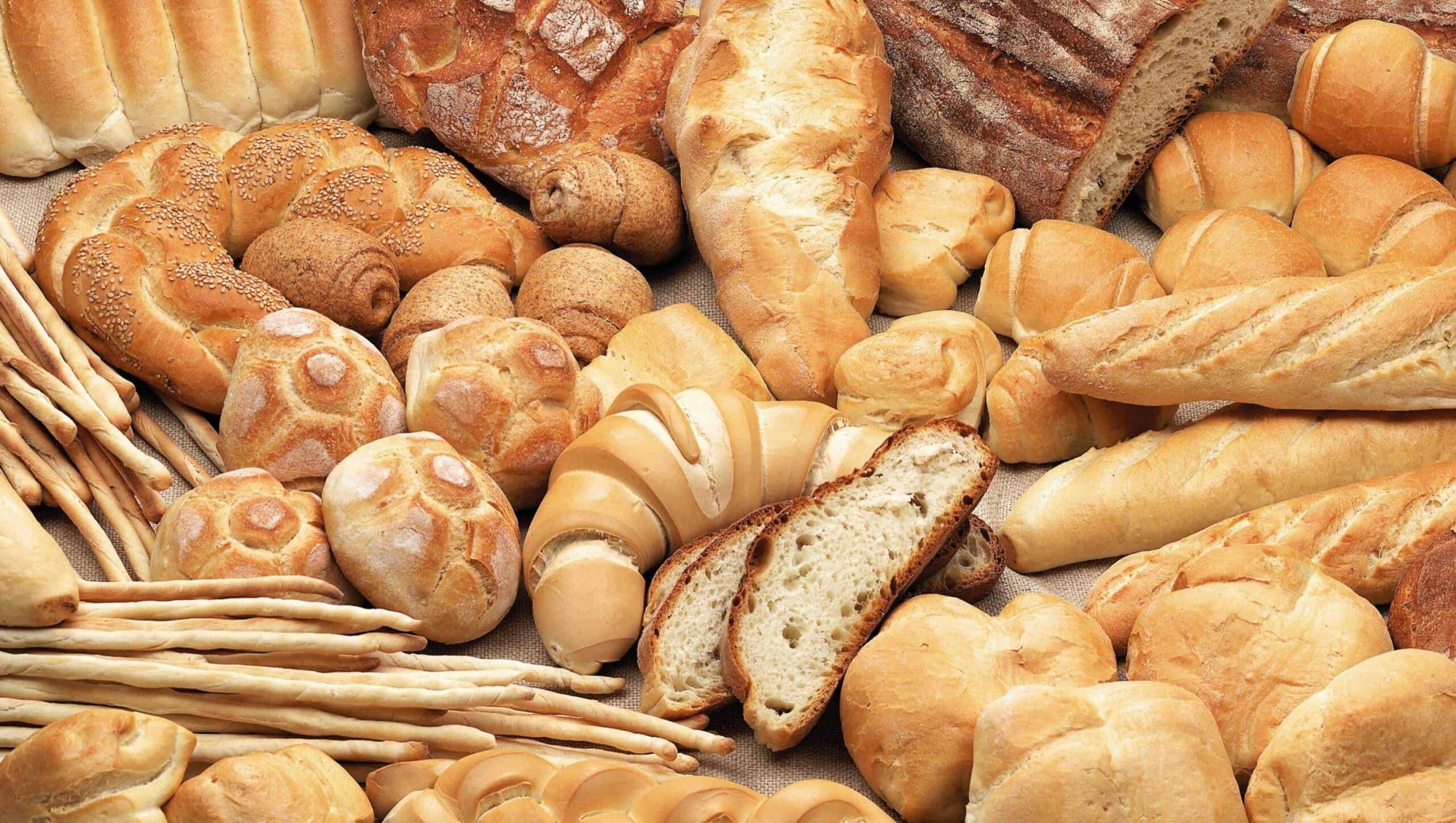 pane fa ingrassare palestra