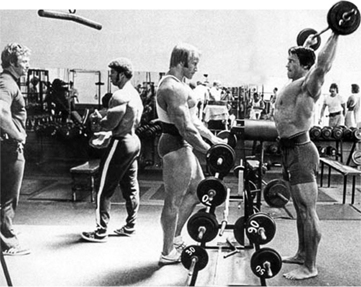 arnold blueprint to mass book arnold blueprint to mass book