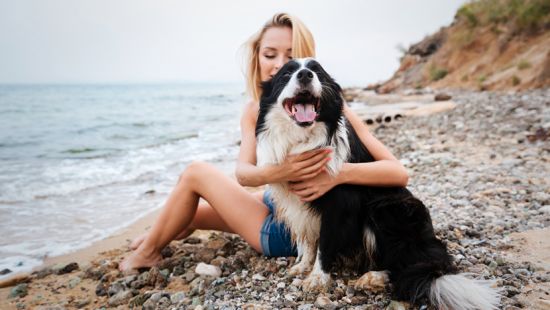 La Dieta Mountain Dog (Parte 2)