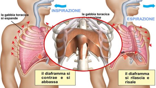 La Respirazione