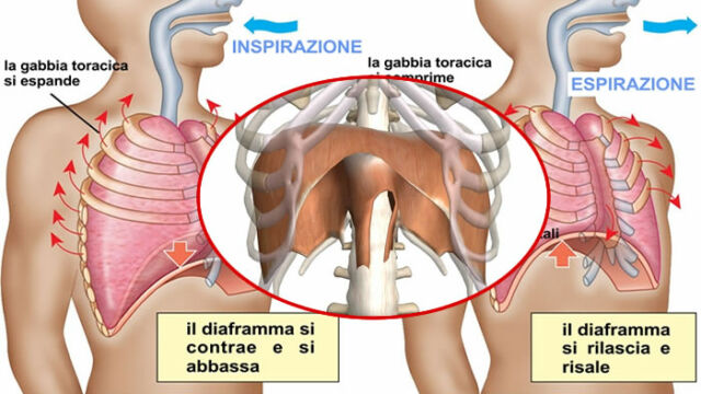 respirazione