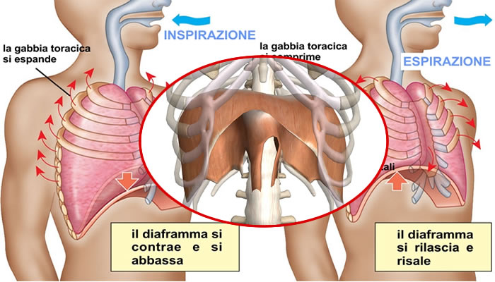 respirazione