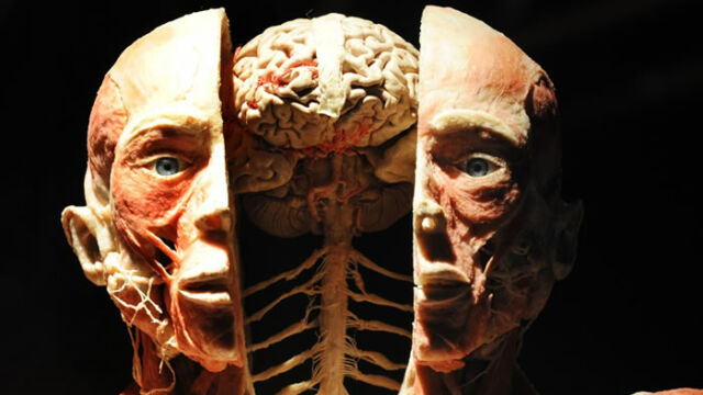 Il segreto della mente
