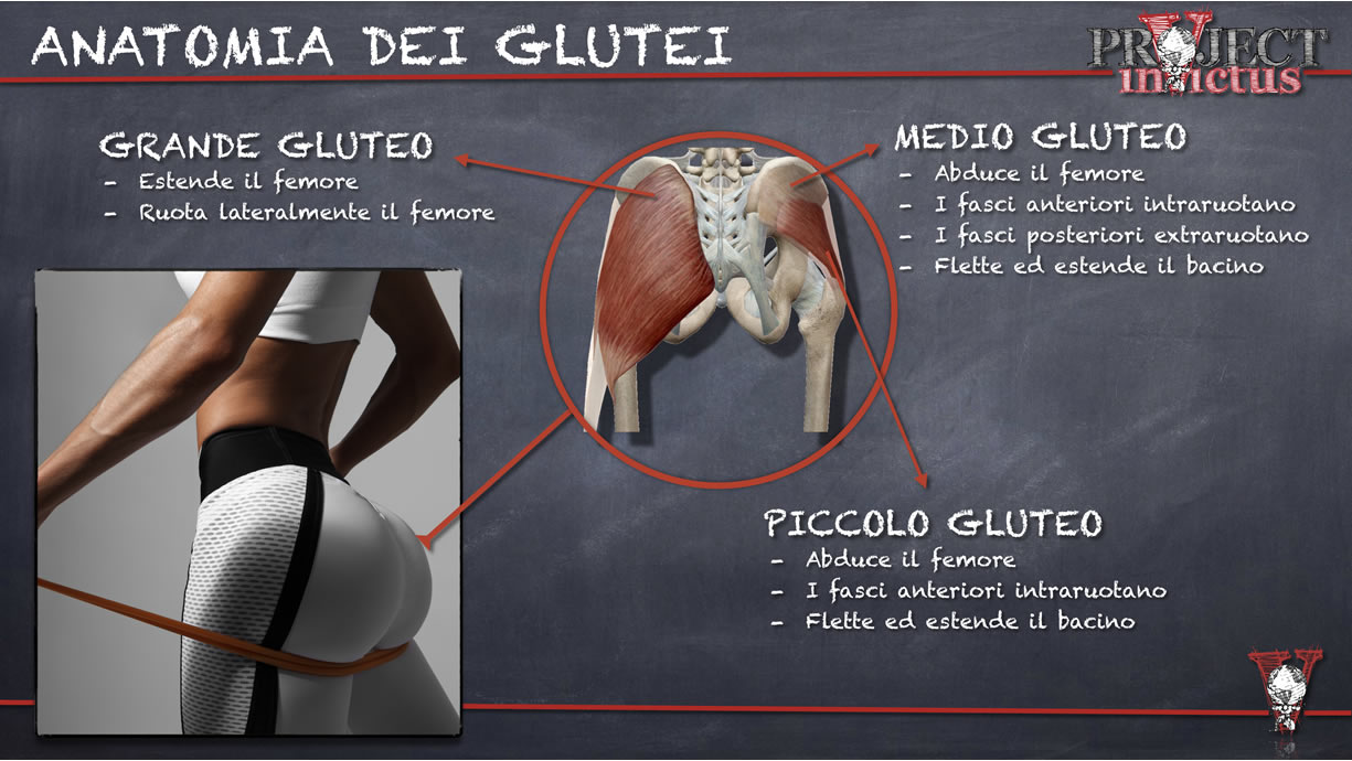 Allenamento Glutei Quali Sono I Migliori Esercizi Project Invictus