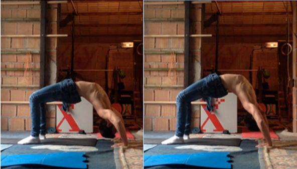 Il Ponte, per una schiena, collo ed un corpo superiore (Movimenti primordiali)