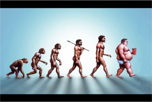 Evoluzione uomo