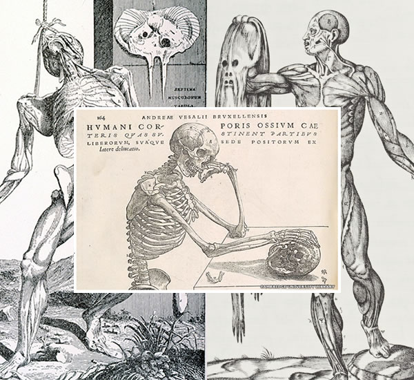 Vesalio