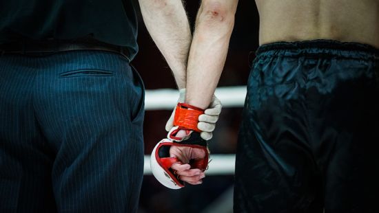 MMA Intervista e tesi