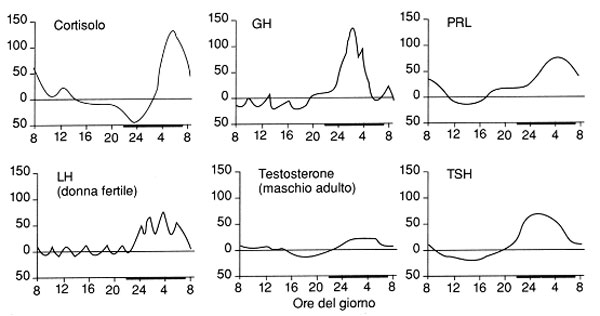 Ritmi cicrcadiani conoscerli