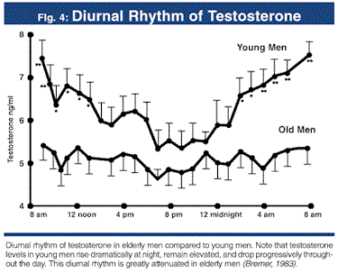 ritmo circadiano testosterone