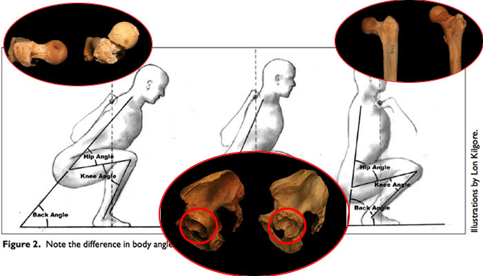 Come l'anatomia influenza lo squat