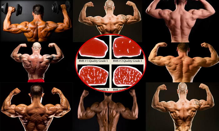 10 Mesmerizing Examples Of fitness and bodybuilding