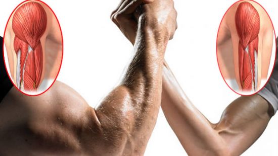 Scheda allenamento forza per il bodybuilding