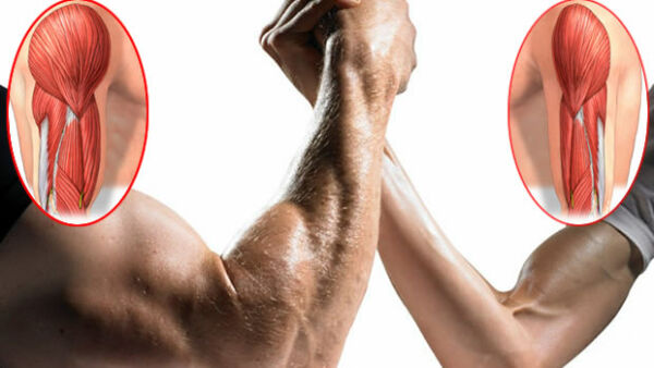 Scheda allenamento forza per il bodybuilding