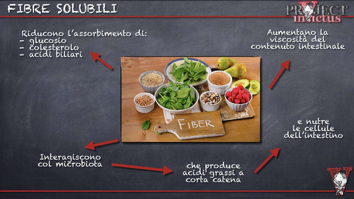 Fibre alimentari cosa sono Project inVictus