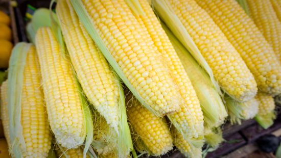 Calorie del mais e valori nutrizionali